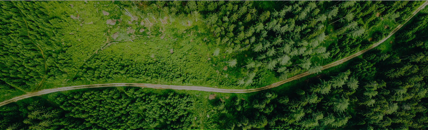 Z6¡¤×ðÁú¡¸Öйú¡¹¹Ù·½ÍøÕ¾